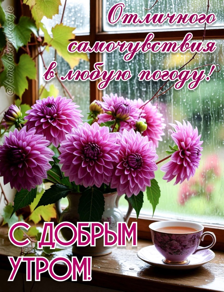 Picture background