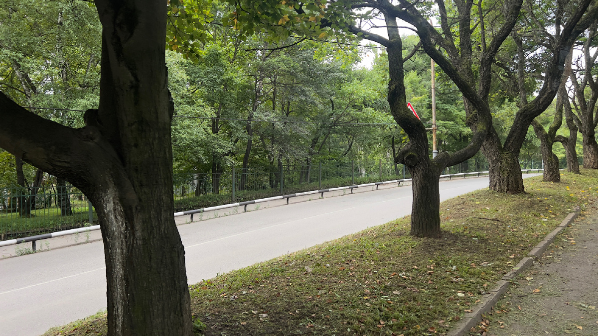 прогулка по городу. фото автора