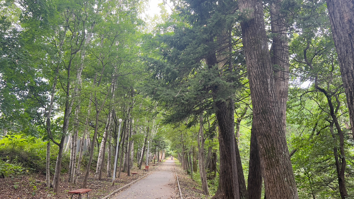 прогулка в парке. Фото автора