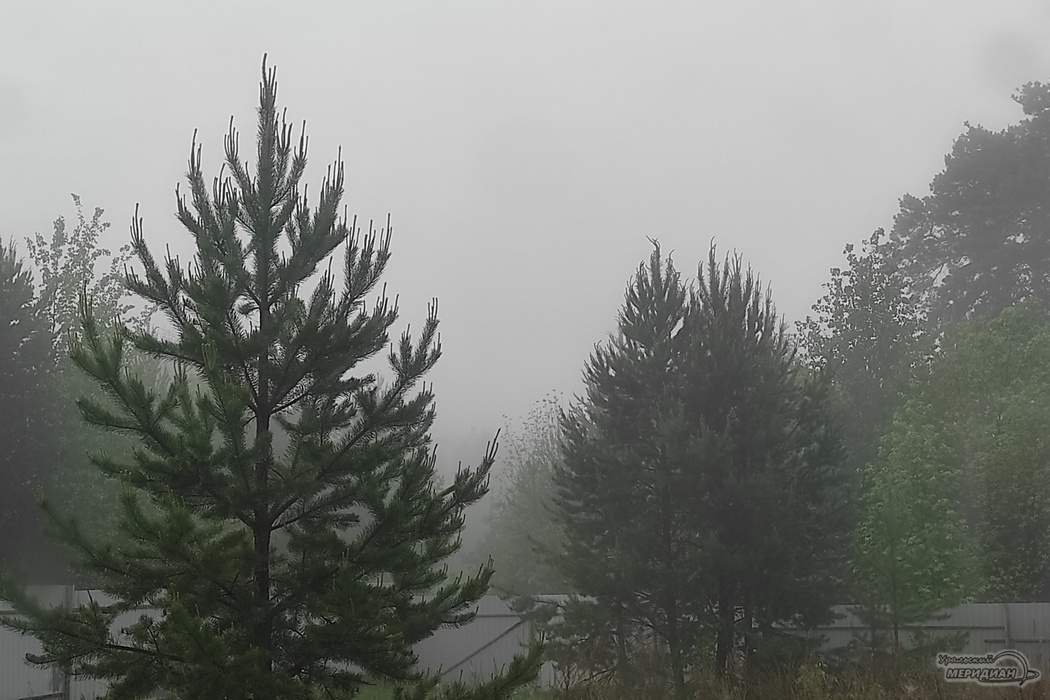    Фото: читатель © ИА «Уральский меридиан»