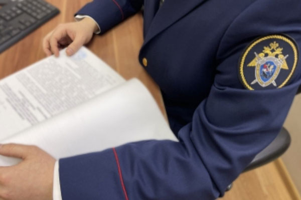     Фото: СКР по Свердловской области