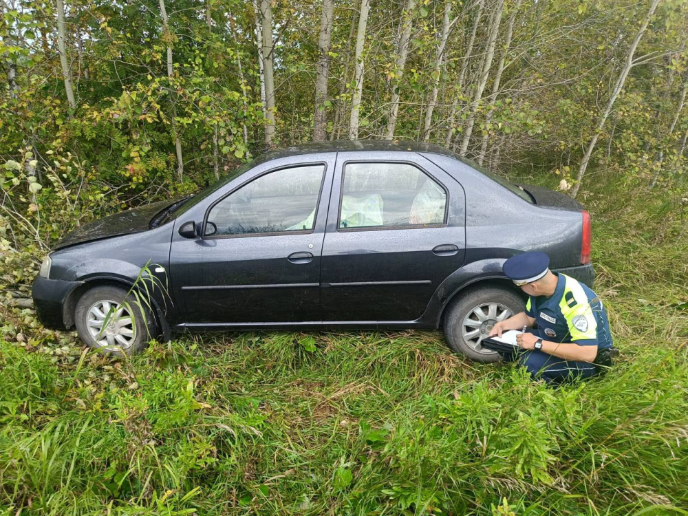     Фото: ГИБДД Свердловской области