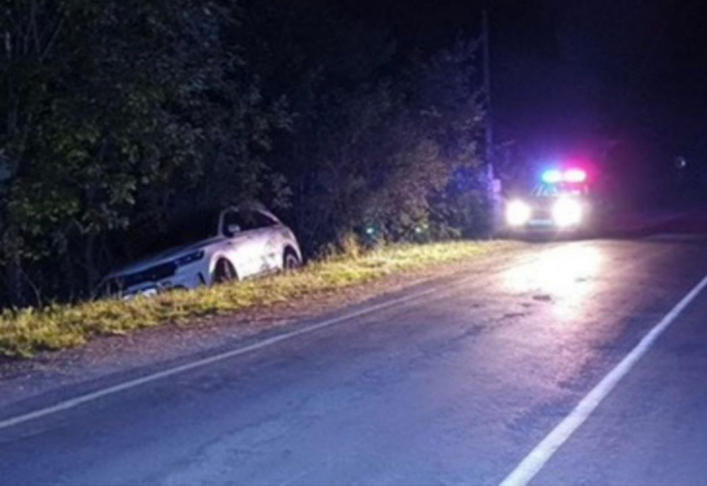     Фото: ГИБДД Свердловской области