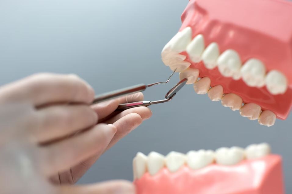     Фото: freepik.com