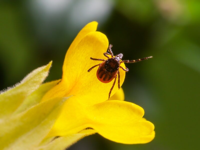     Фото: pexels.com