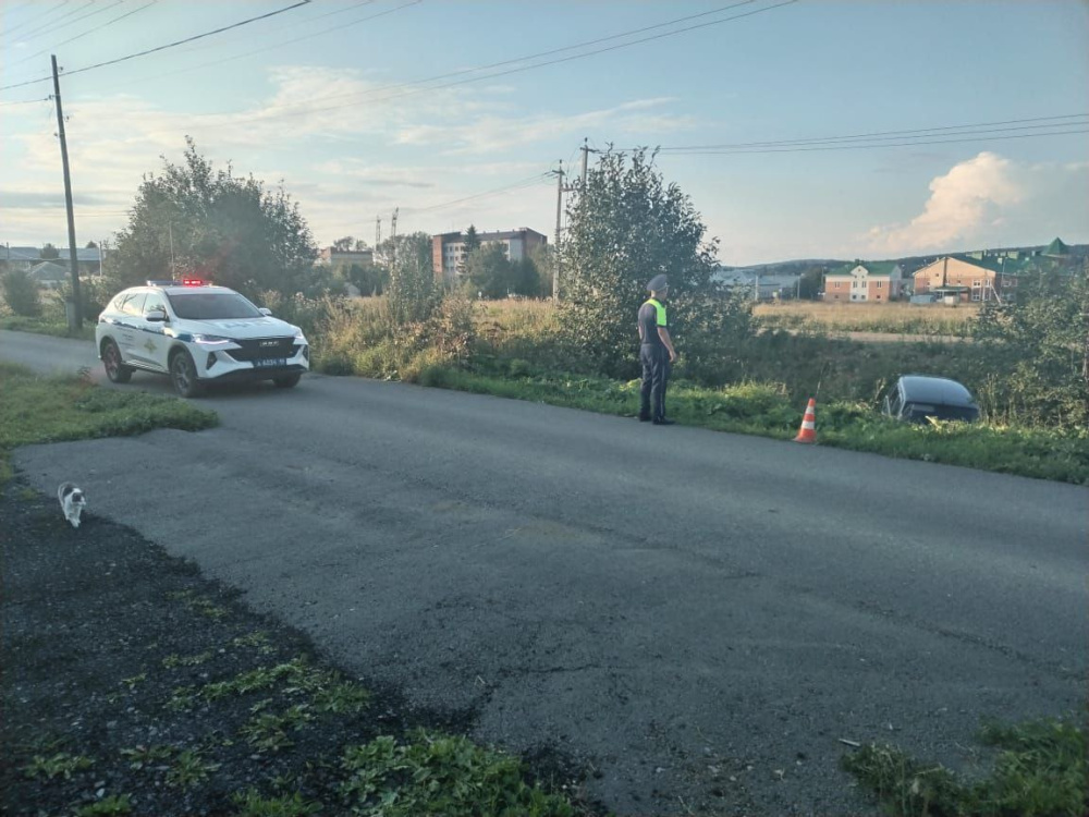     Фото: ГИБДД Свердловской области