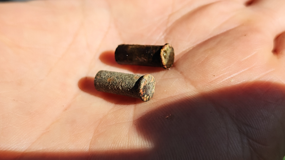     Фото: Сергей Ипатов