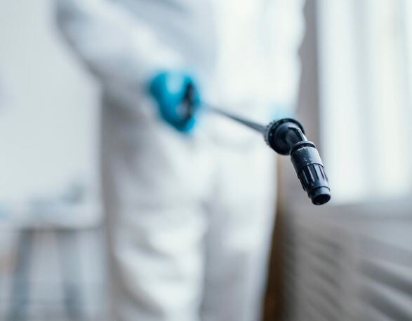     Фото: freepik.com