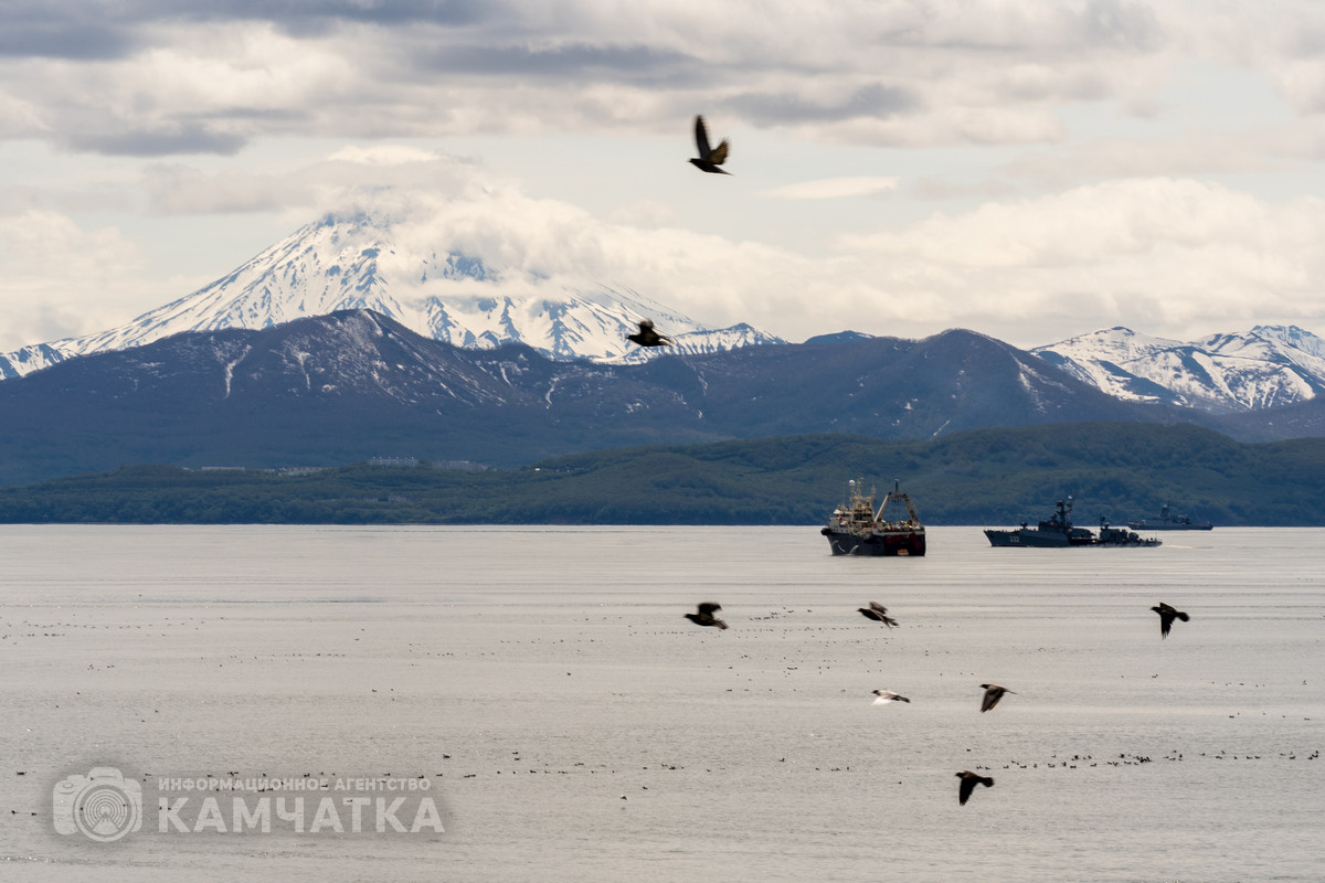 Фото ИА «Камчатка»