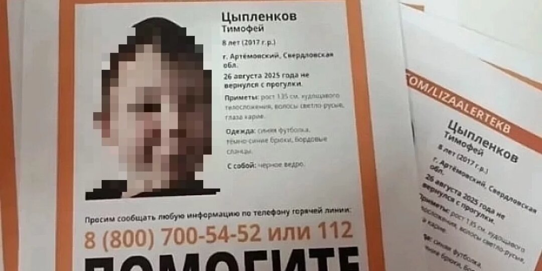 Около 300 человек продолжают искать 8-летнего мальчика в уральском лесу