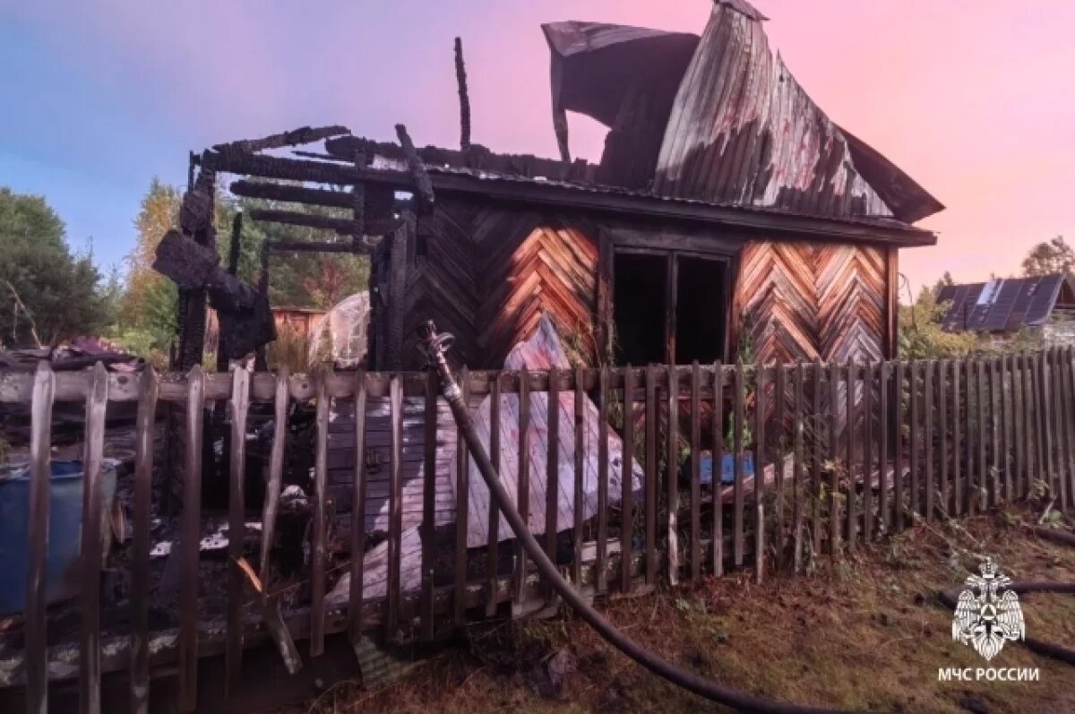    Женщина погибла при пожаре в садовом товариществе Нефтяник в Стрежевом