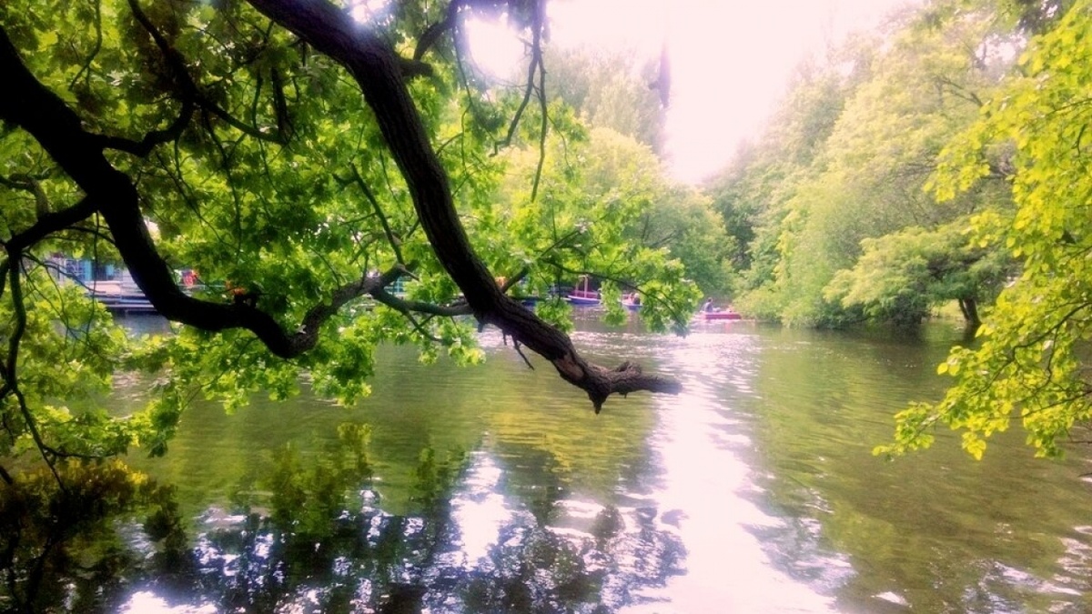    Арендаторы вывозят имущество из Городского парка СаратоваНовости Саратова и области – Сетевое издание «Репортер64»