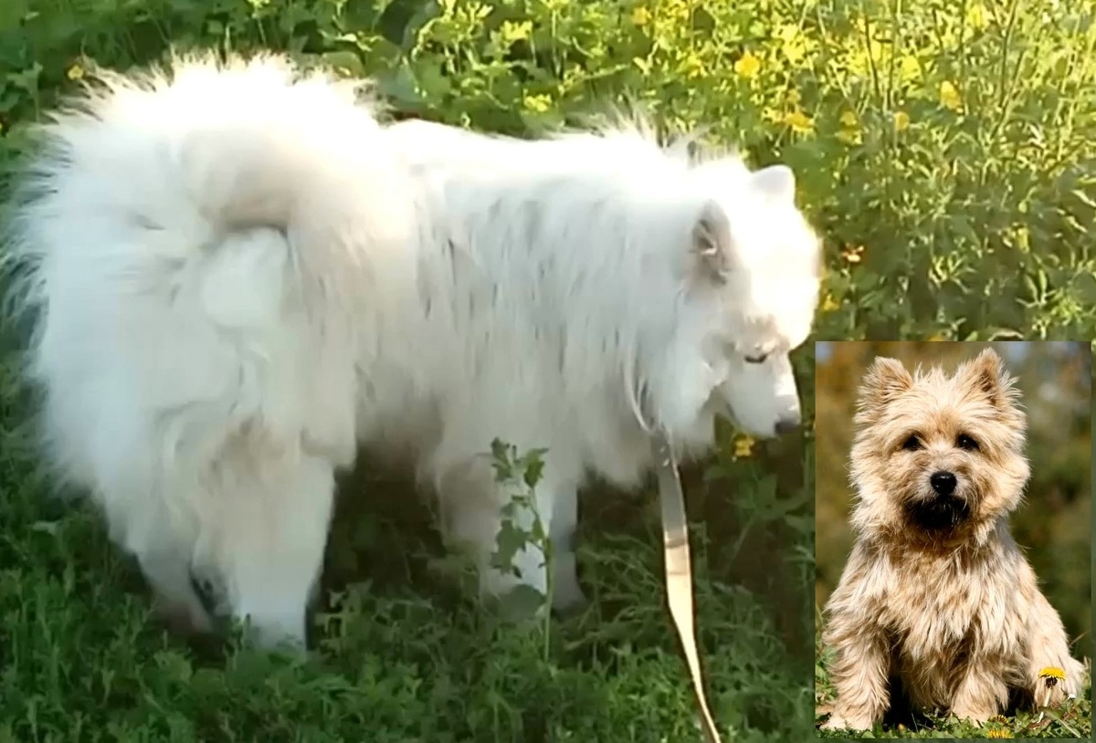 Так вот ты какой, гений чистой красоты!