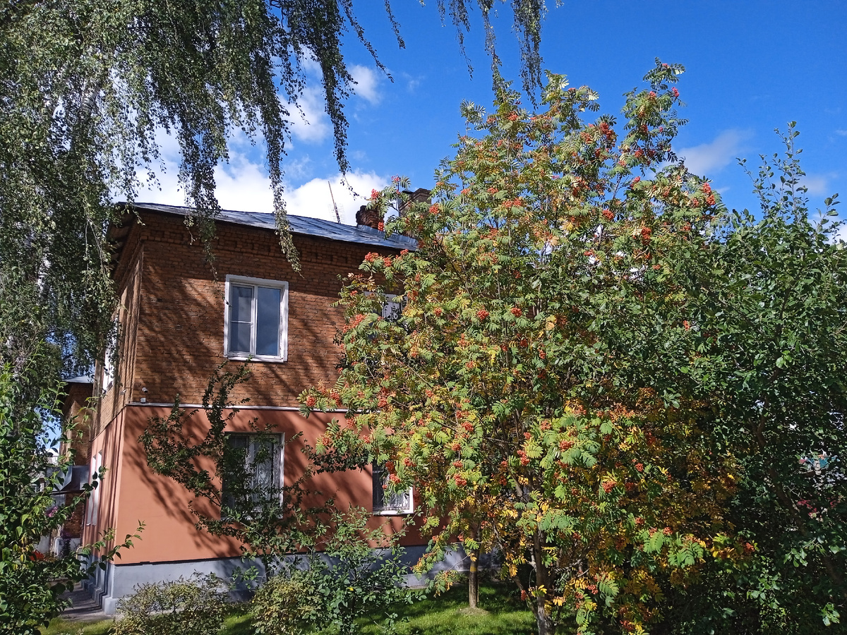 Старая двухэтажка. Рябинка, небо