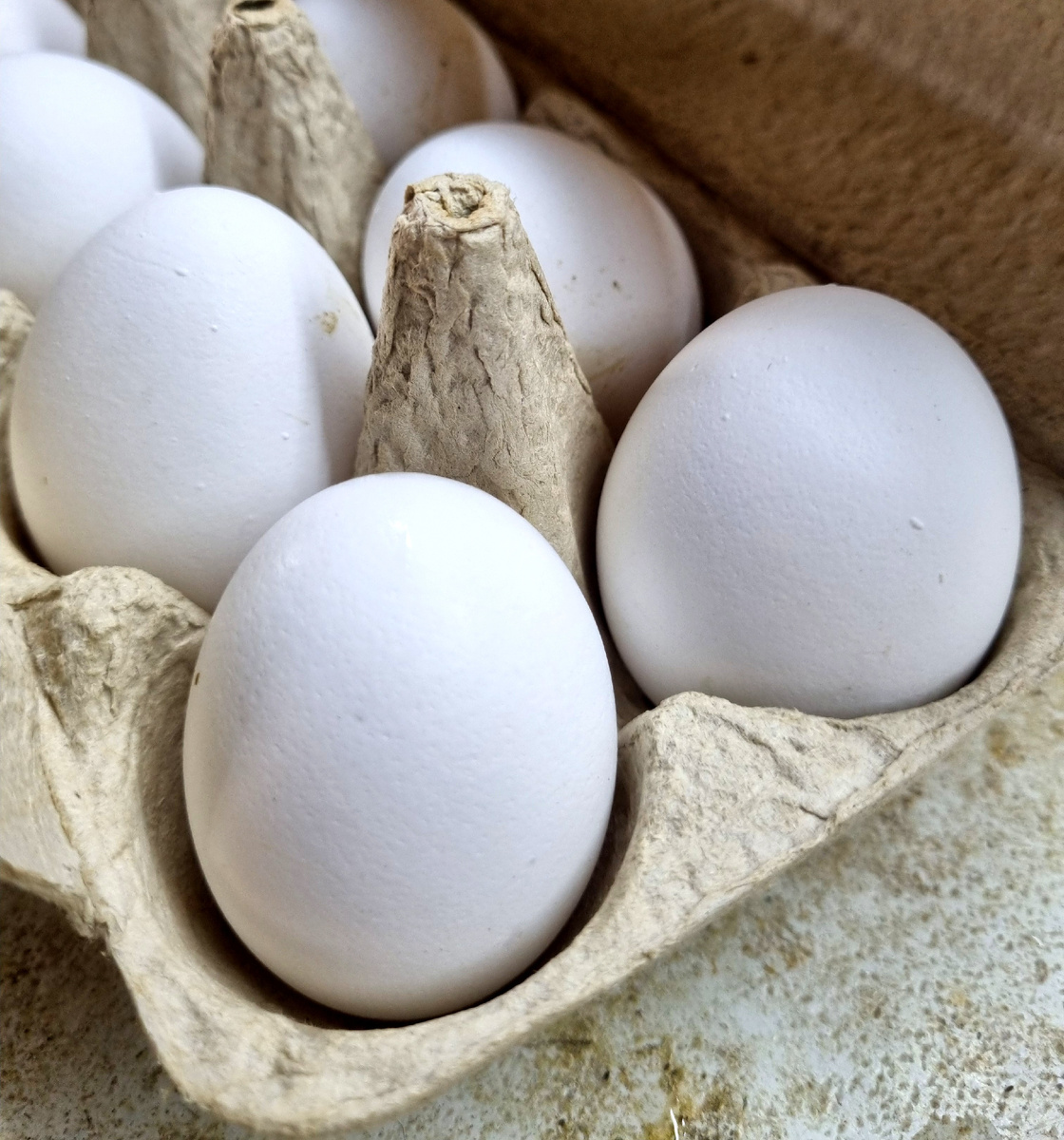 Фото: Зеленая леди, сад, семья и томатный сок 