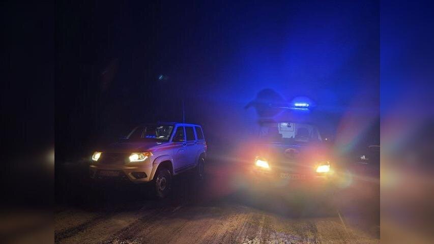    Фото: пресс-служба «Лиза Алерт»