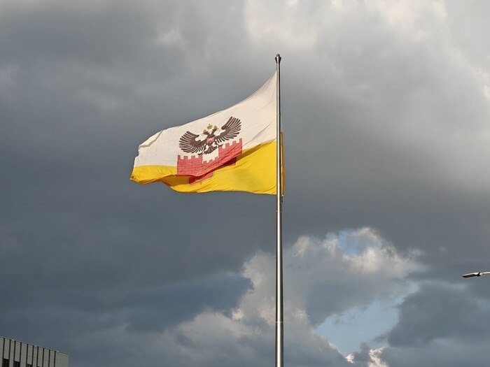    Фото: Юрий Серебренников/BFM Кубань