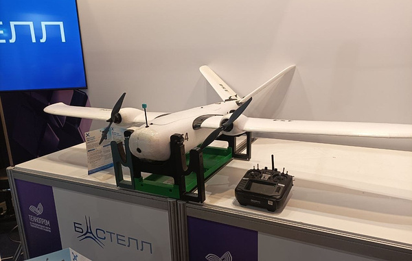 Никита Минин/ТАСС