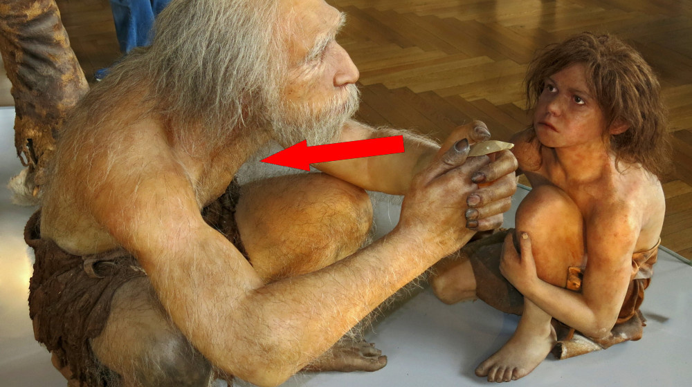    Как Homo sapiens остался одним на планете