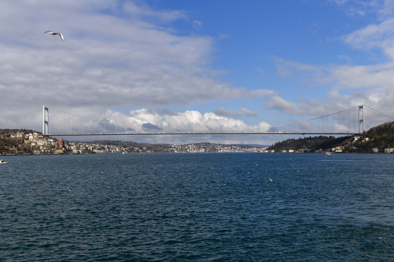    Фото: © Aleksey Smyshlyaev/globallookpress