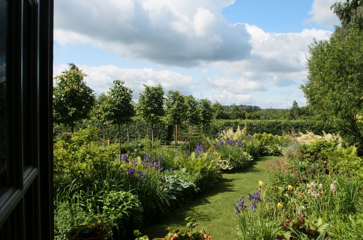 Вид из окна (июнь)