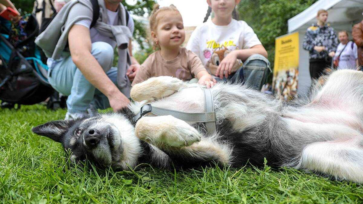    Фото: Дмитрий Белицкий / АГН Москва