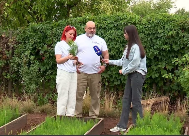    Оренбуржец выращивает спаржу после возвращения с фронта Оренбуржье