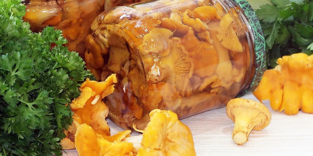 Маринованные лисички на зиму