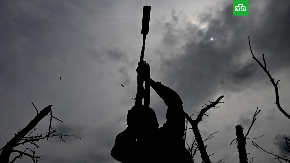    Фото: РИА Новости © 2025, Станислав Красильников