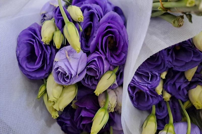    Уральское таможенное управление