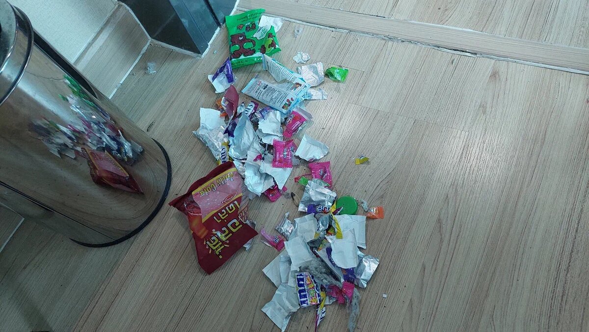 Фото автора. Достали из под кровати 