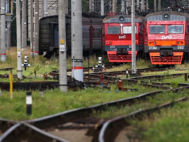    Фото: ТАСС/Артем Геодакян