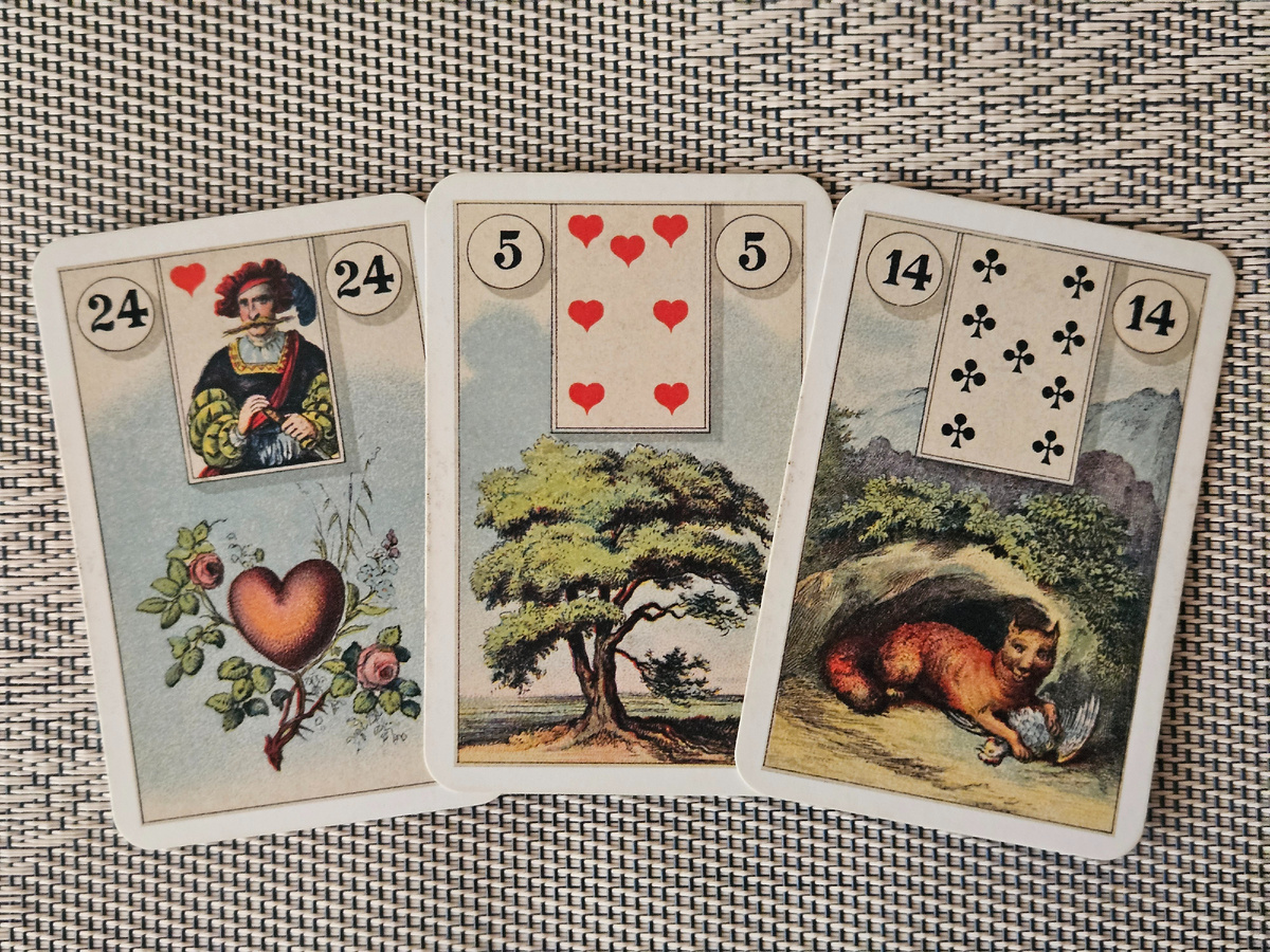 Общая энергия дня