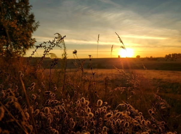 картинка из интернета