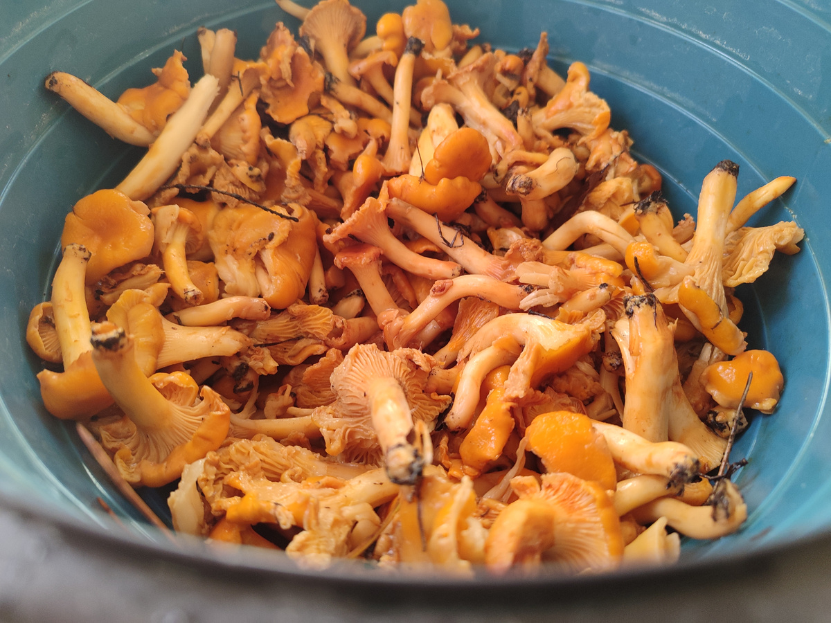 Будем доводить их до ума...