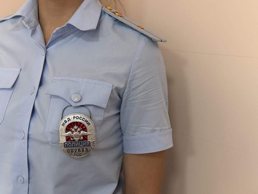    Фото: "Веселовские вести" Веселовские вести