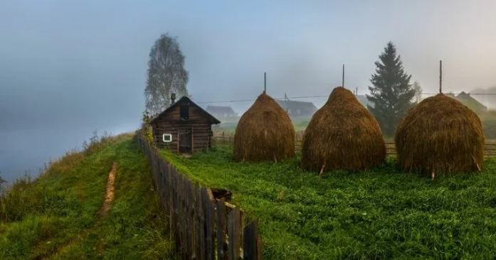 Яндекс картинки