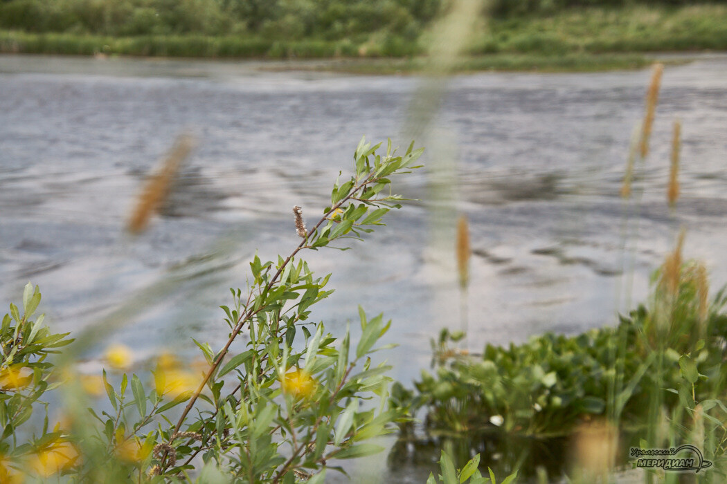    Фото Лидия Аникина © ИА «Уральский меридиан»