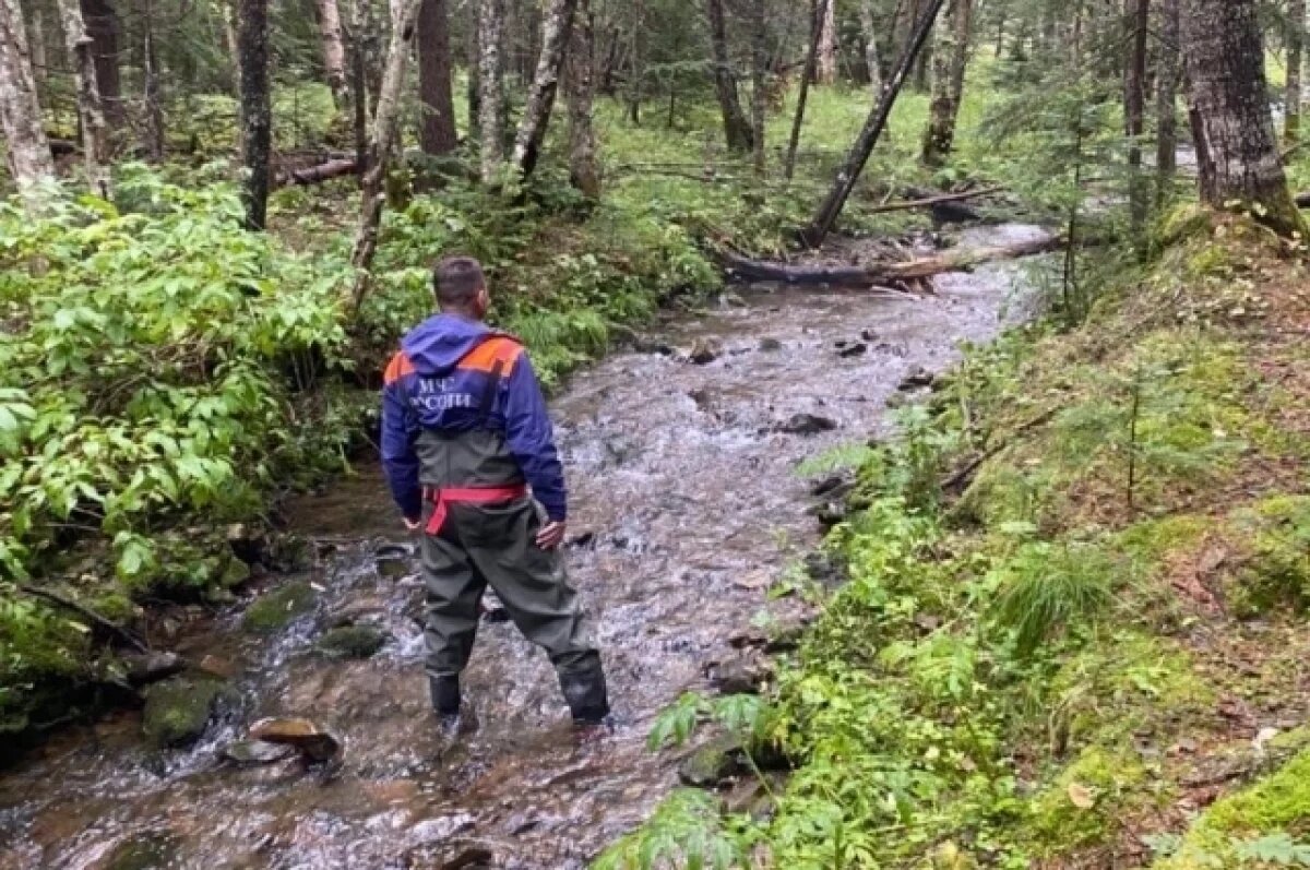    Найдены жители Сахалина, пропавшие 5 дней назад при сборе дикоросов
