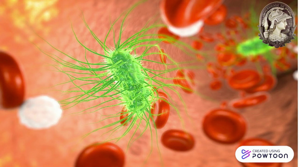    Татуировка или опасность: как дети становятся подпольными мастерами