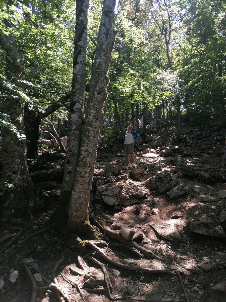 Дорога наверх