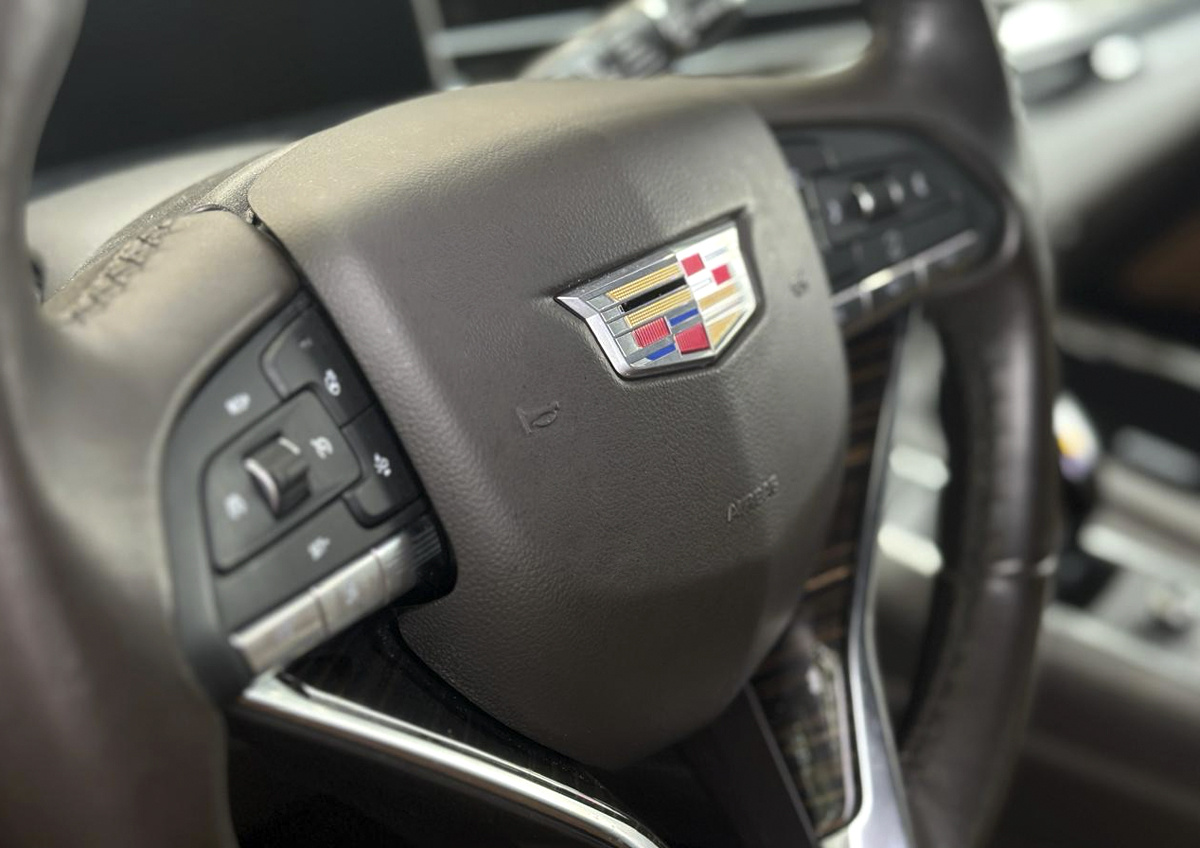 Фото © «Московская газета». Фото в тексте: Роман Морозов