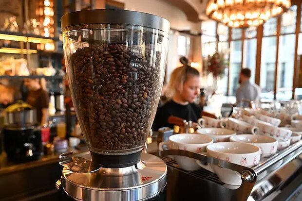    Фото: lenta.ru Олеся Шмелева