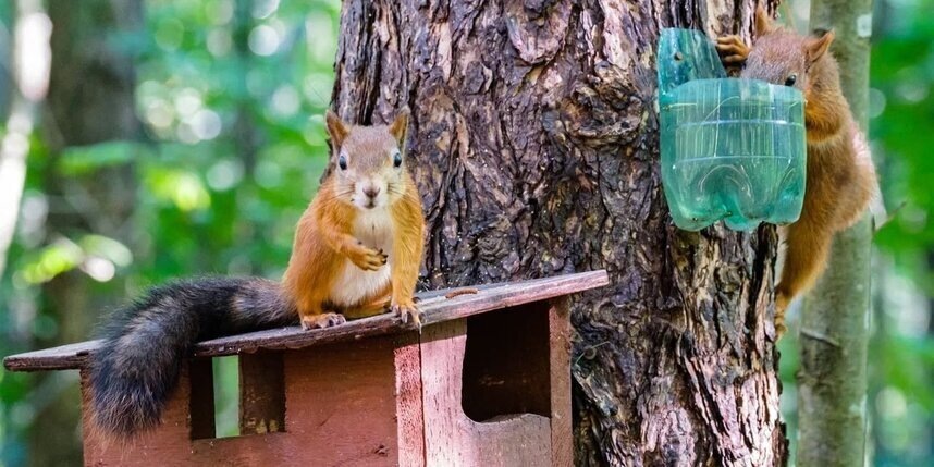    Алёна Бобрович