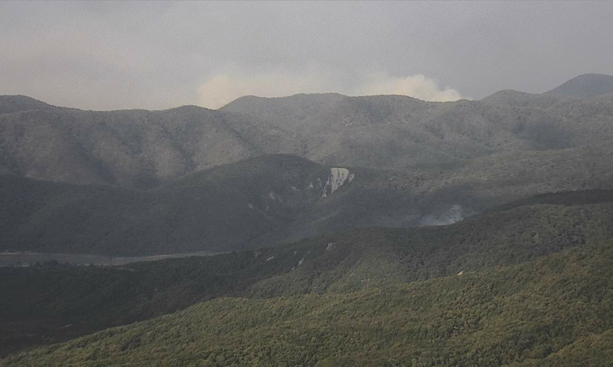    Фото t.me/krd_klpc