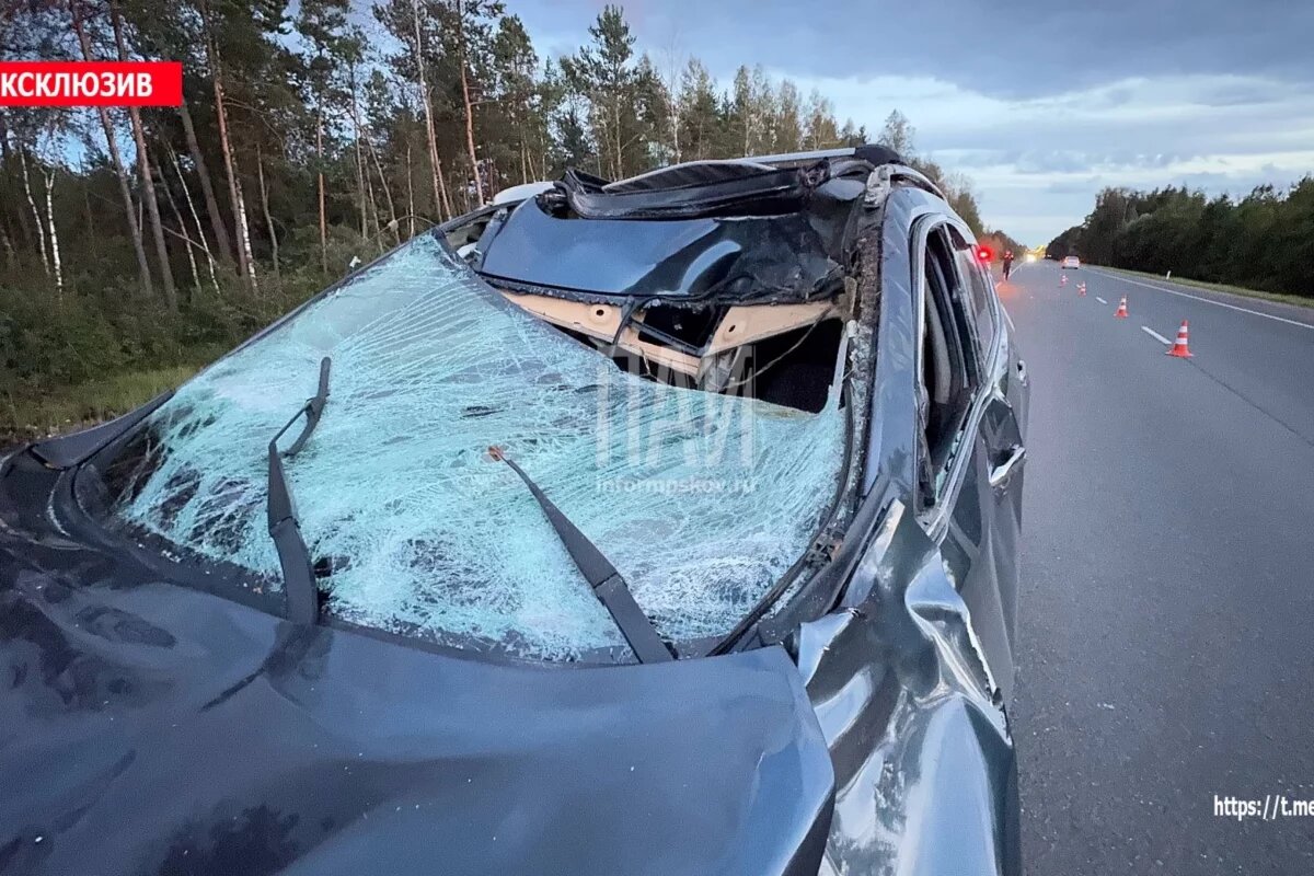    Два ребенка пострадали в ДТП с лосем в Пскове