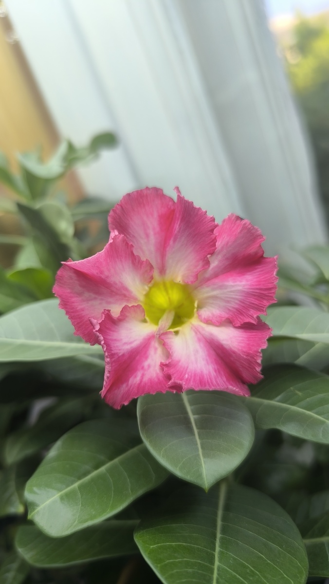 Дети от других родителей в конце галереи.