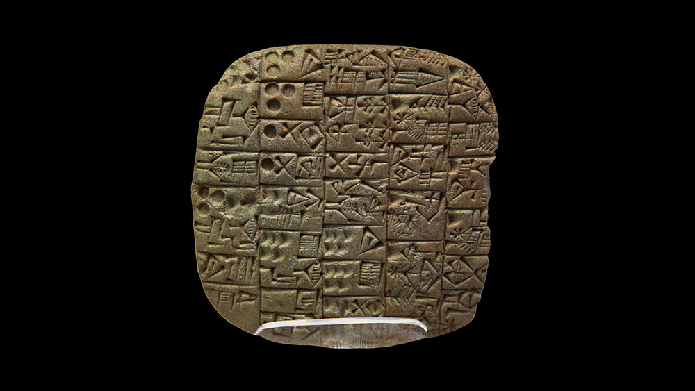     Фото: Wikipedia.org