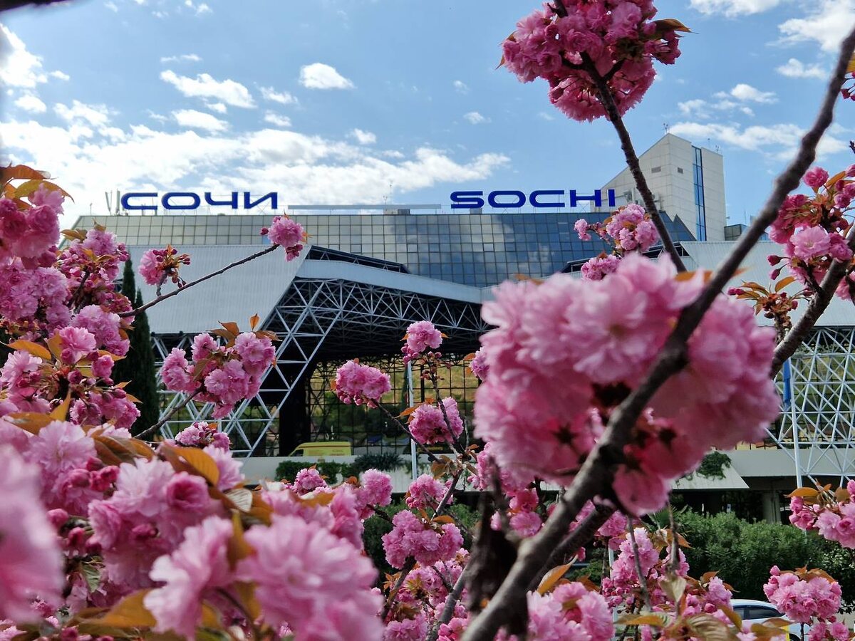    Фото: пресс-служба аэропорта Сочи