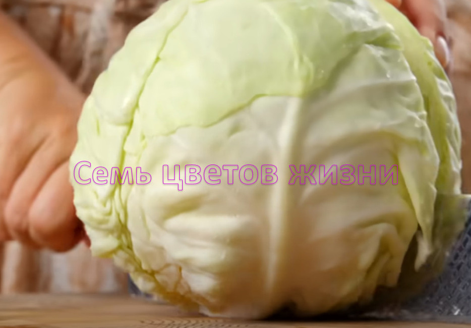 Один качан капусты